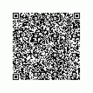 vCard 78185041305