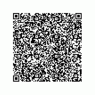 vCard 78185041309