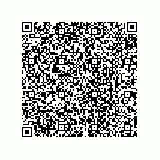 vCard 78185041313