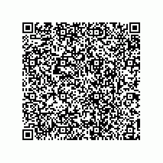 vCard 78185041319