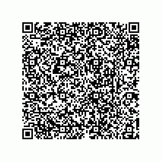 vCard 78185041331