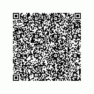 vCard 78185041384