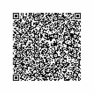 vCard 78185041387