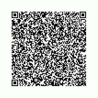 vCard 78185140010