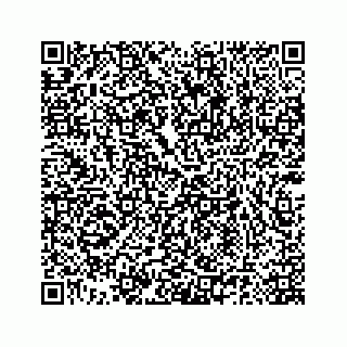 vCard 78185140011