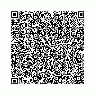vCard 78185140013
