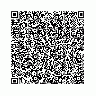vCard 78185140027