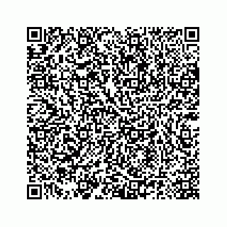vCard 78185140031