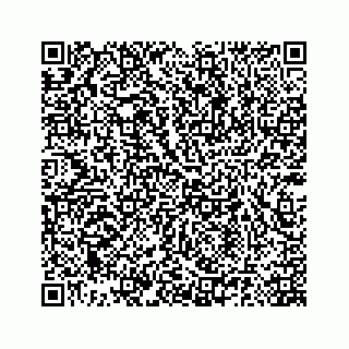 vCard 78185140040