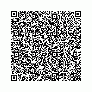vCard 78185140041