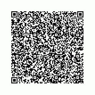 vCard 78185140066