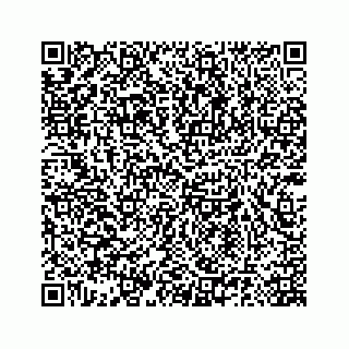 vCard 78185140080