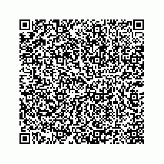 vCard 78185140081