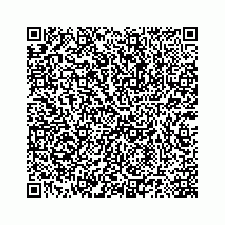 vCard 78185140087