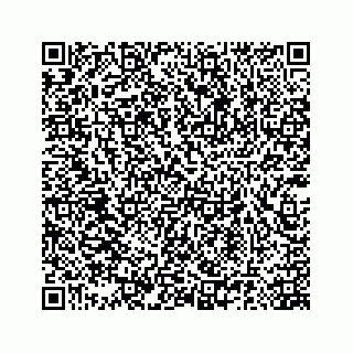 vCard 78185140088
