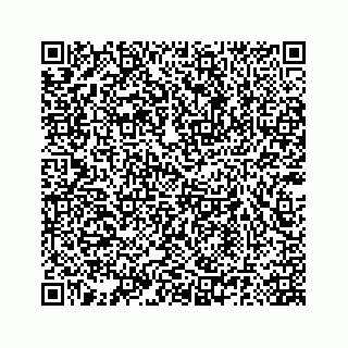 vCard 78185140090