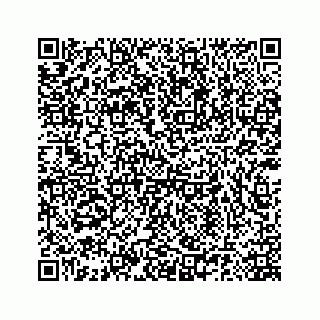vCard 78185140093