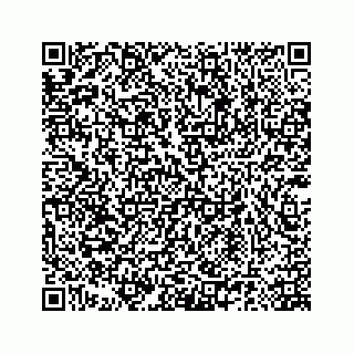 vCard 78185140095