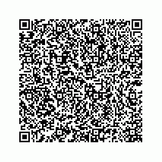 vCard 78185140101