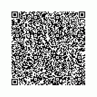 vCard 78185140110