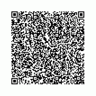 vCard 78185140111