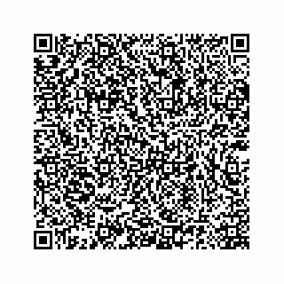 vCard 78185140132