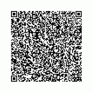vCard 78185140133