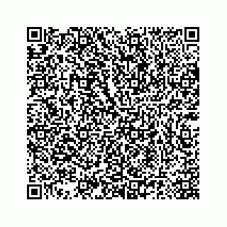 vCard 78185140137