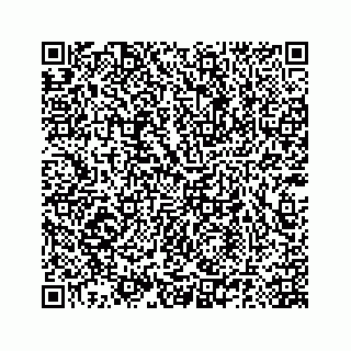 vCard 78185140161