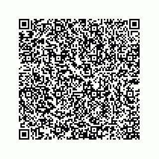 vCard 78185140177