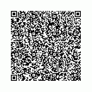 vCard 78185140199