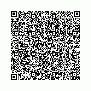 vCard 78185140263