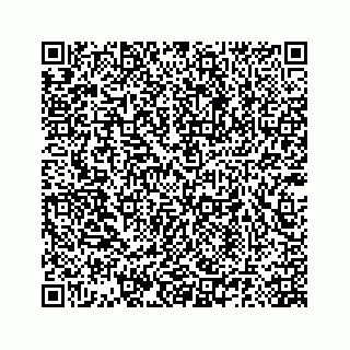 vCard 78185140280