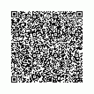 vCard 78185140287
