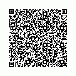 vCard 78185140289
