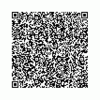 vCard 78185140293