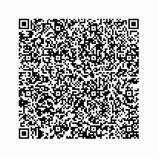 vCard 78185140308