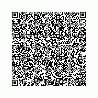 vCard 78185140309