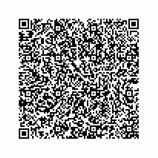 vCard 78185140313