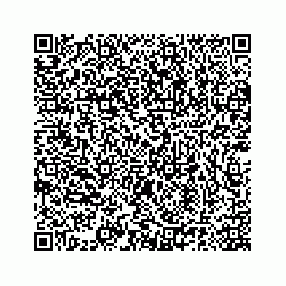 vCard 78185140333