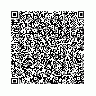 vCard 78185140373