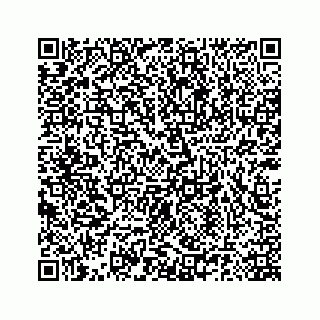 vCard 78185140374