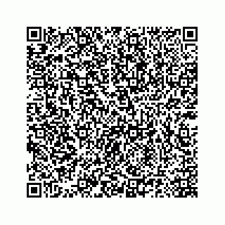 vCard 78185140376