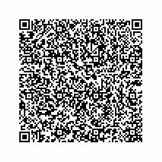 vCard 78185140377