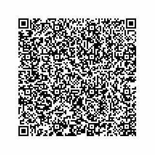 vCard 78185140379