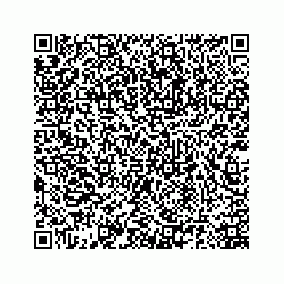 vCard 78185140380