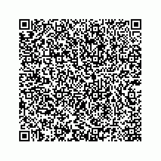 vCard 78185140381