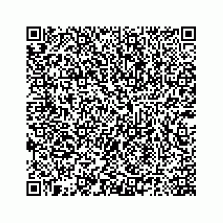 vCard 78185140382