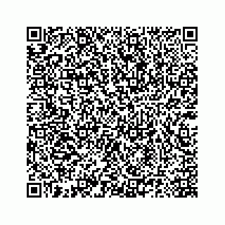 vCard 78185140384