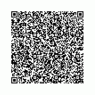 vCard 78185140387